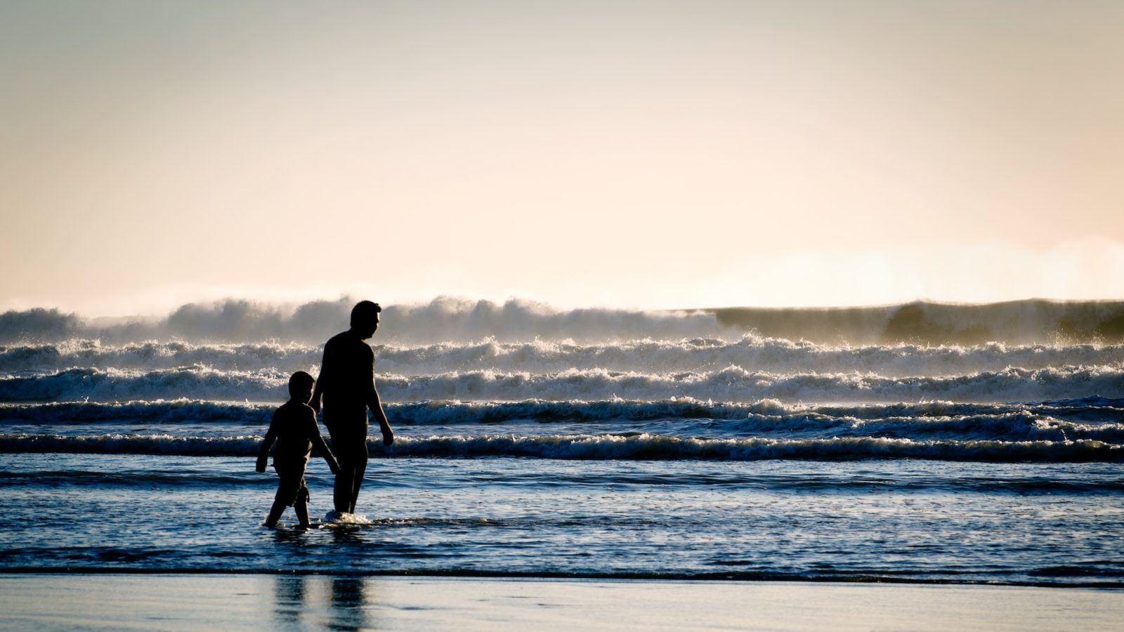 Father Son walking near sea shore