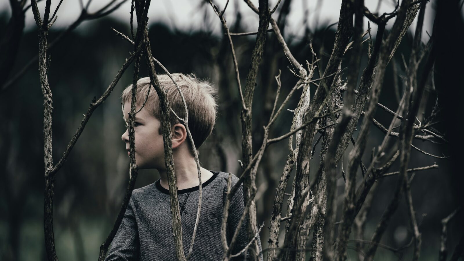 Young boy standing in forest with bare branches dipcting parental alienation.