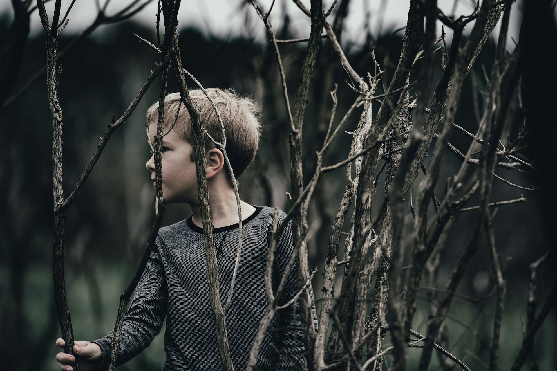 When Courts Cannot Fix Parental Alienation