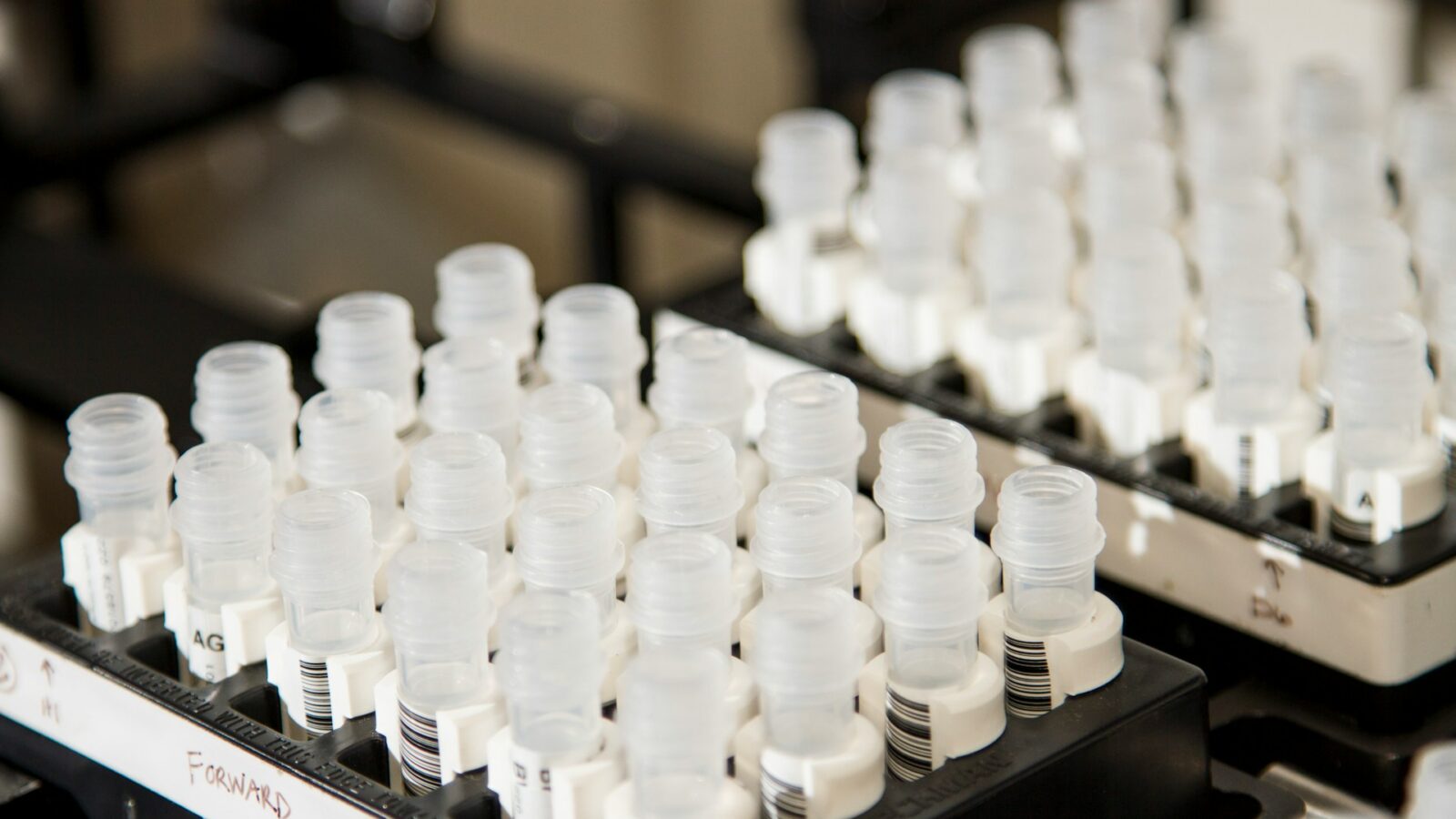 White vials with DNA samples on a black shelf, representing DNA paternity tests.