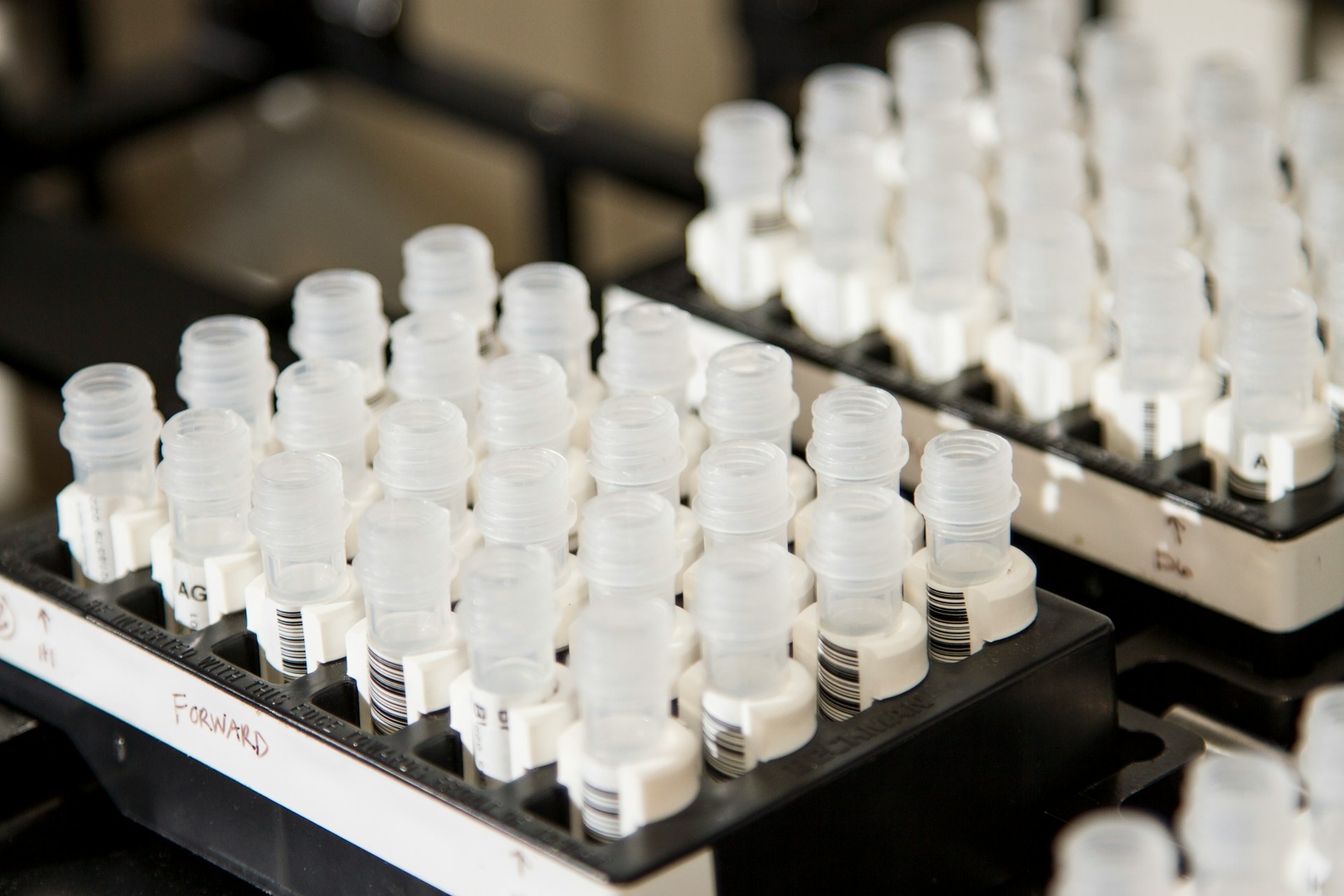 Kids Come First: Court Denies Father’s Demand for DNA Test